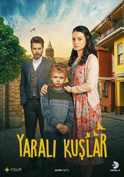 Смотреть онлайн Раненые птицы 2019 смотреть онлайн